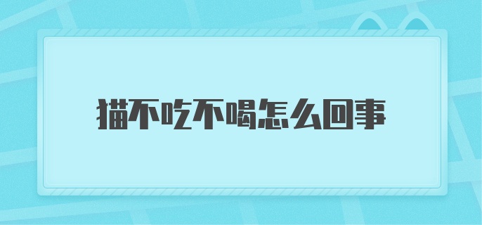 猫不吃不喝怎么回事