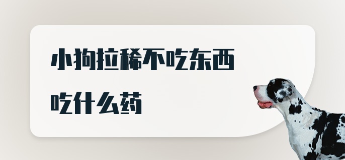 小狗拉稀不吃东西吃什么药