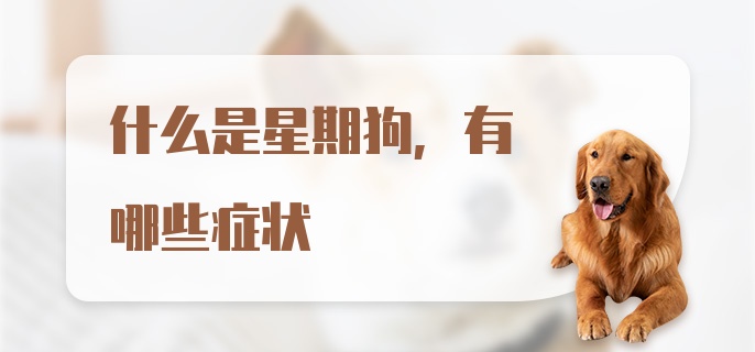 什么是星期狗，有哪些症状