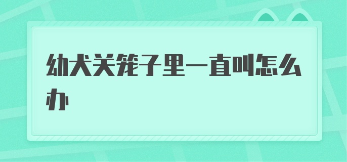 幼犬关笼子里一直叫怎么办