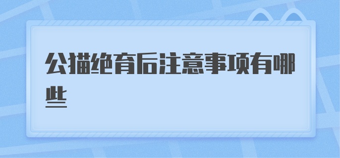 公猫绝育后注意事项有哪些