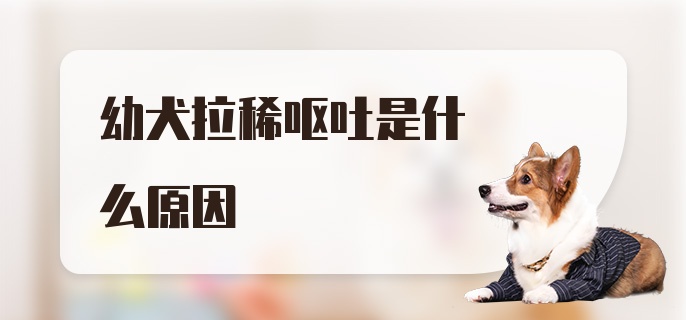 幼犬拉稀呕吐是什么原因