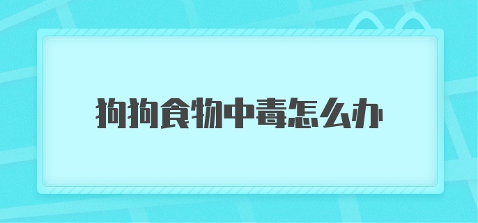 狗狗食物中毒怎么办