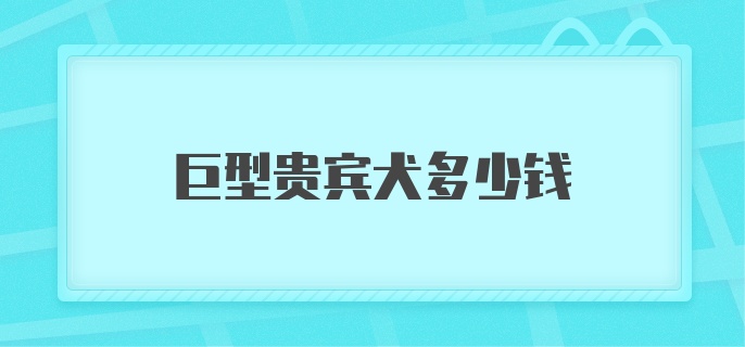 巨型贵宾犬多少钱