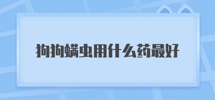 狗狗螨虫用什么药最好