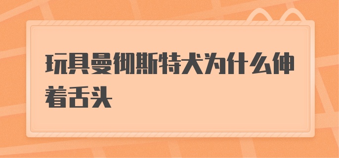 玩具曼彻斯特犬为什么伸着舌头