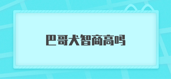 巴哥犬智商高吗？