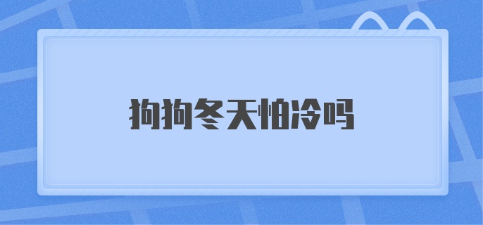 狗狗冬天怕冷吗