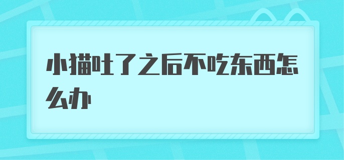 小猫吐了之后不吃东西怎么办