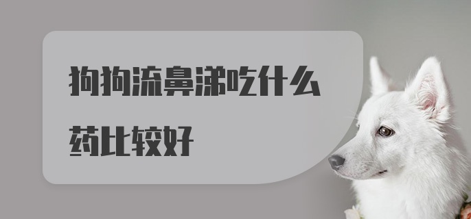 狗狗流鼻涕吃什么药比较好