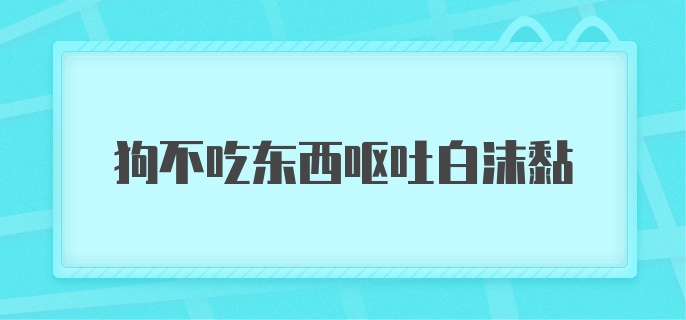 狗不吃东西呕吐白沫黏