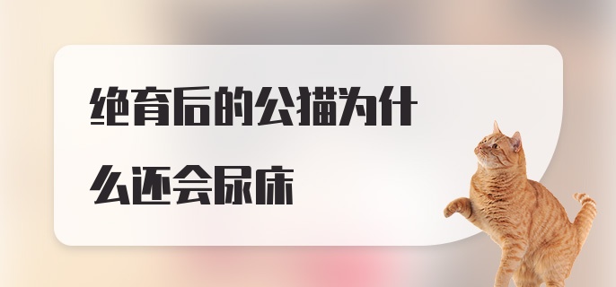 绝育后的公猫为什么还会尿床