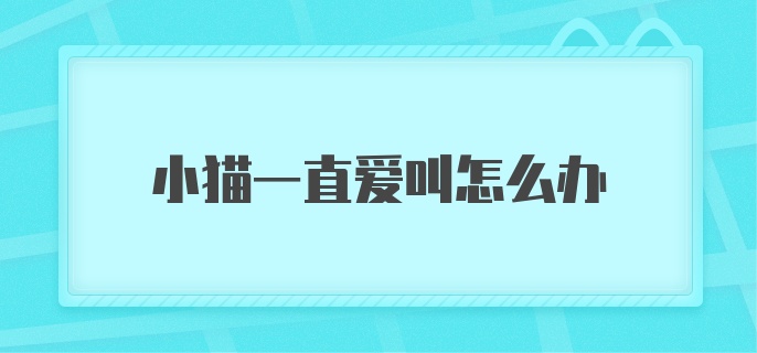 小猫一直爱叫怎么办