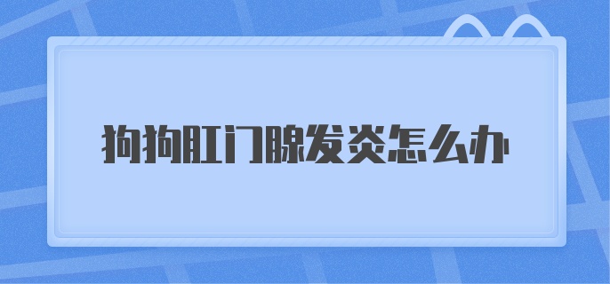 狗狗肛门腺发炎怎么办