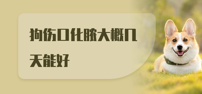 狗伤口化脓大概几天能好