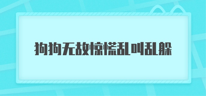 狗狗无故惊慌乱叫乱躲