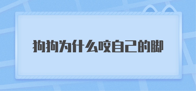 狗狗为什么咬自己的脚