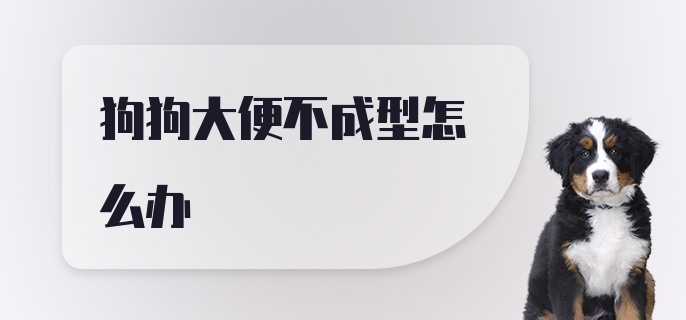 狗狗大便不成型怎么办