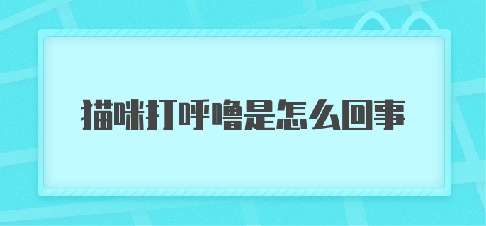 猫咪打呼噜是怎么回事啊？