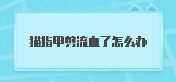 猫指甲剪流血了怎么办