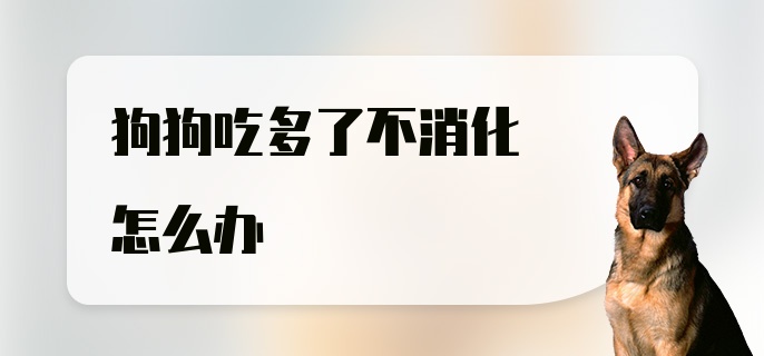 狗狗吃多了不消化怎么办