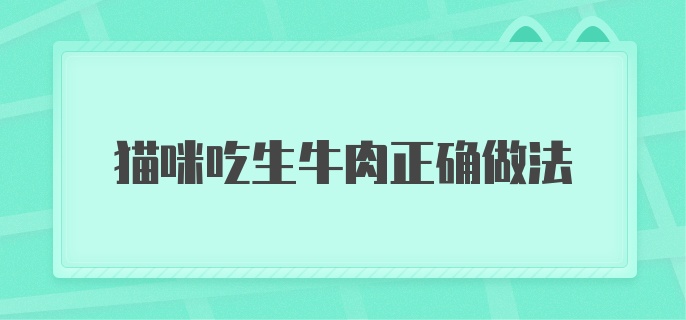 猫咪吃生牛肉正确做法