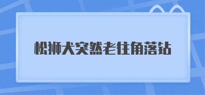 松狮犬突然老往角落钻