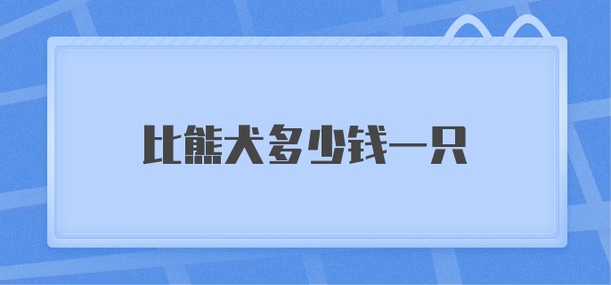 比熊犬多少钱一只