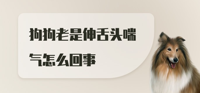 狗狗老是伸舌头喘气怎么回事