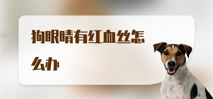 狗眼睛有红血丝怎么办