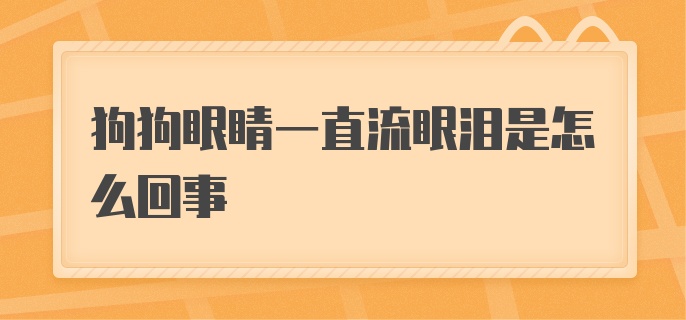 狗狗眼睛一直流眼泪是怎么回事