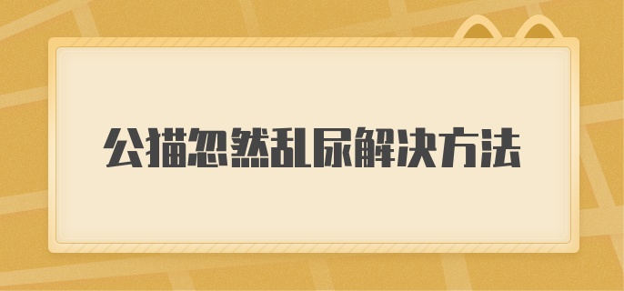 公猫忽然乱尿解决方法