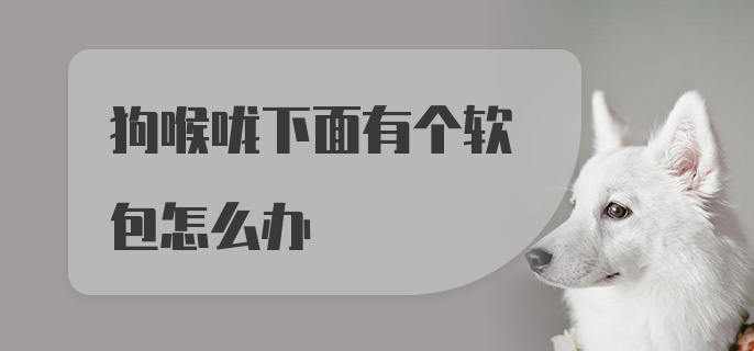 狗喉咙下面有个软包怎么办