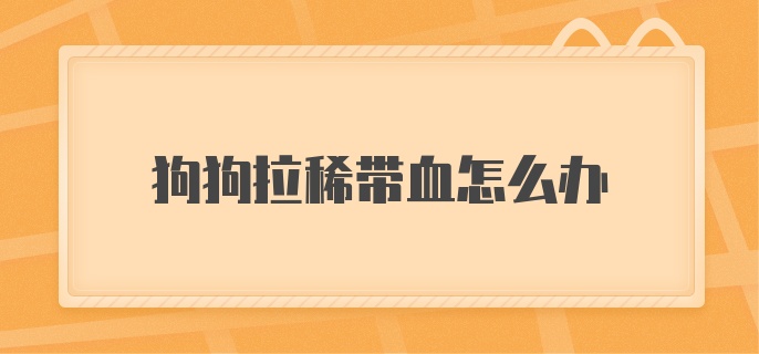 狗狗拉稀带血怎么办