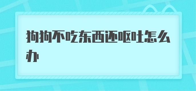 狗狗不吃东西还呕吐怎么办