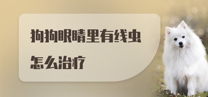 狗狗眼睛里有线虫怎么治疗