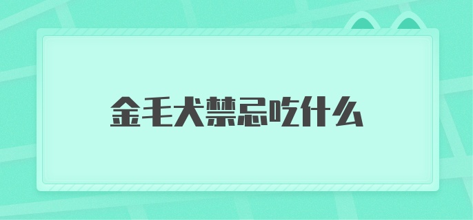 金毛犬禁忌吃什么