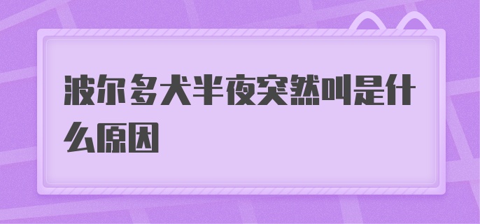 波尔多犬半夜突然叫是什么原因