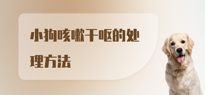 小狗咳嗽干呕的处理方法