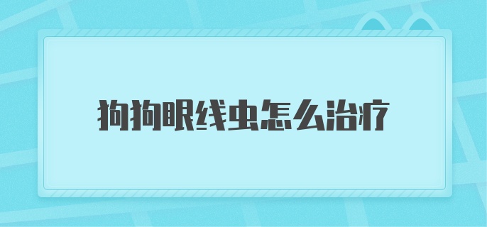 狗狗眼线虫怎么治疗