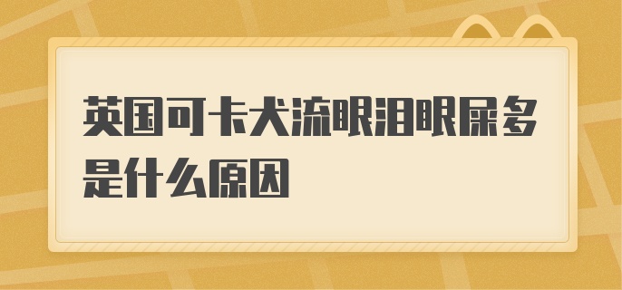 英国可卡犬流眼泪眼屎多是什么原因