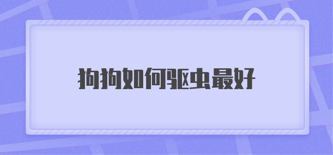 狗狗如何驱虫最好