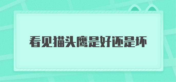 看见猫头鹰是好还是坏