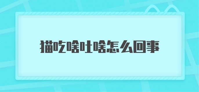 猫吃啥吐啥怎么回事