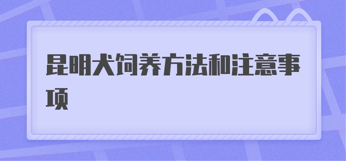 昆明犬饲养方法和注意事项