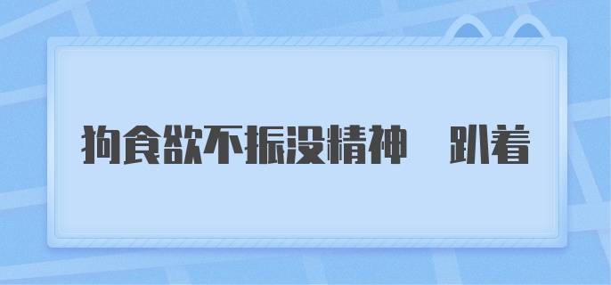 狗食欲不振没精神 趴着