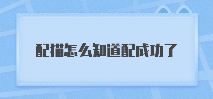 配猫怎么知道配成功了