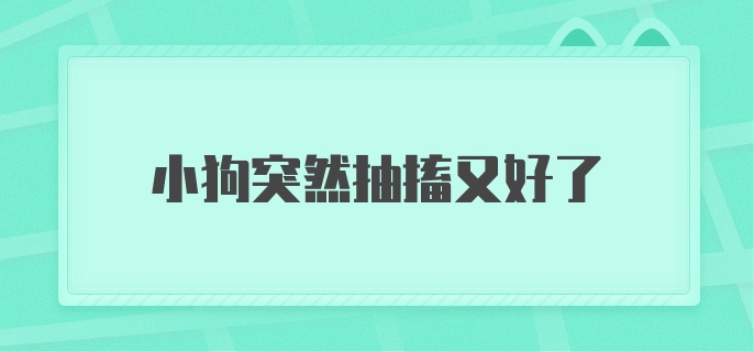 小狗突然抽搐又好了