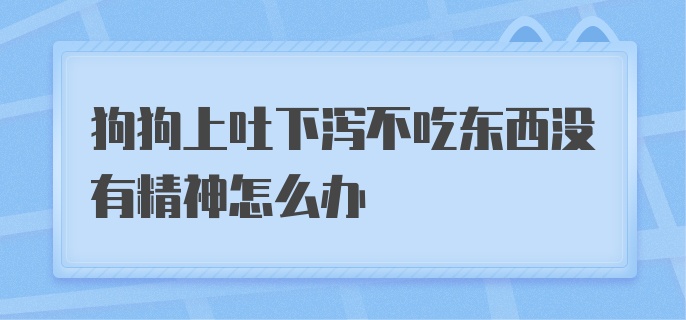 狗狗上吐下泻不吃东西没有精神怎么办