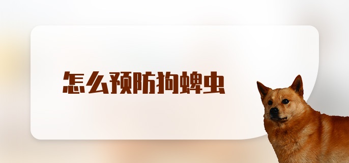 怎么预防狗蜱虫